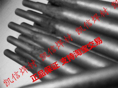 D502yT(mn)Ѻĥ늺l