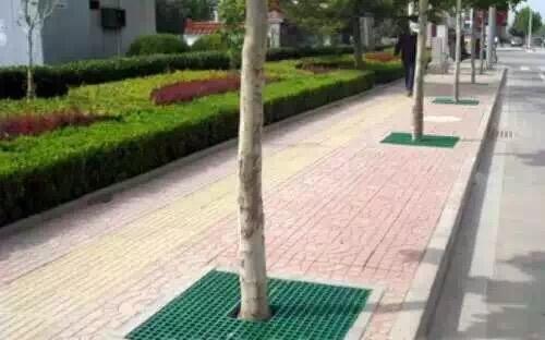 䓷o(h)嶨S